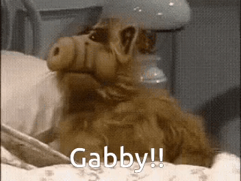 A Stuffed Animal Is Laying On A Bed With The Words Gabby Written On It . GIF