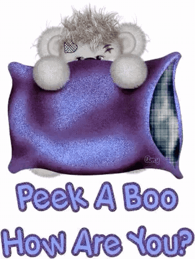 A Stuffed Animal Is Laying On A Purple Pillow With The Words Peek A Boo How Are You Written Below It GIF