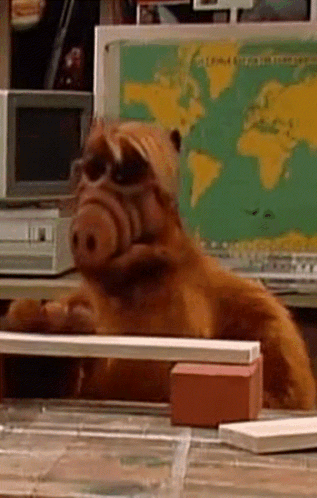 A Stuffed Animal Is Laying On A Table In Front Of A Map Of The World GIF