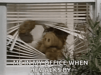 A Stuffed Animal Is Looking Out Of A Window With Blinds . GIF