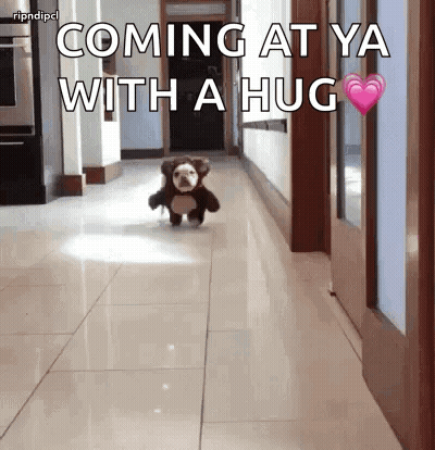 A Stuffed Animal Is Running Down A Hallway With The Words Coming At Ya With A Hug Above It GIF