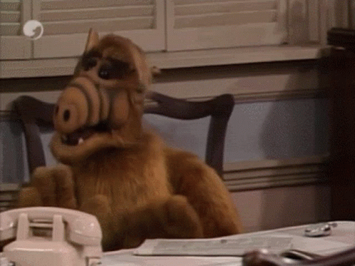 A Stuffed Animal Is Sitting At A Desk With A Telephone In Front Of It . GIF