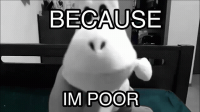 A Stuffed Animal Is Sitting On A Bed With The Words Because Im Poor Below It GIF