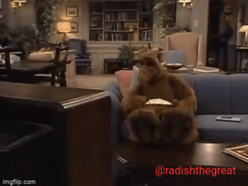 A Stuffed Animal Is Sitting On A Couch Eating Popcorn With The Words @Radishthegreat Below It GIF