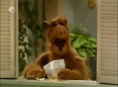 A Stuffed Animal Is Sitting On A Window Sill Eating A Piece Of Food . GIF