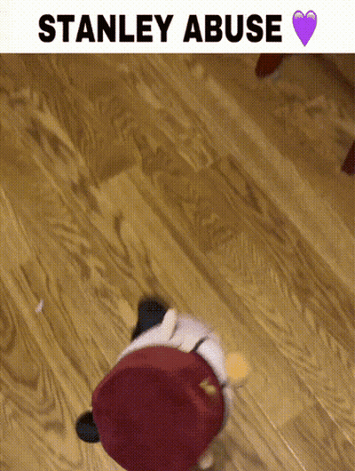 A Stuffed Animal Is Sitting On A Wooden Floor With The Words Stanley Abuse Below It GIF