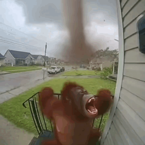 A Stuffed Animal Is Standing In Front Of A House With Its Mouth Open And A Tornado In The Background . GIF