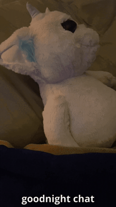 A Stuffed Animal Laying On A Bed With The Words " Goodnight Chat " Below It GIF