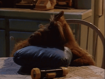 A Stuffed Animal Laying On A Blue Pillow Next To A Dumbbell GIF