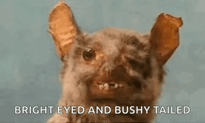 A Stuffed Animal Of A Bat With A Bright Eye And Bushy Tail . GIF
