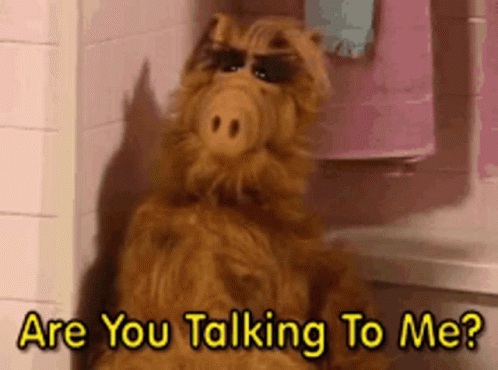 A Stuffed Animal Says " Are You Talking To Me " In Front Of A Pink Wall GIF