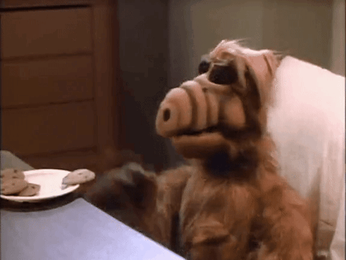 A Stuffed Animal Sitting At A Table Next To A Plate Of Cookies . GIF
