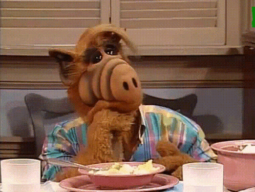 A Stuffed Animal Sitting At A Table With A Bowl Of Food In Front Of Him GIF