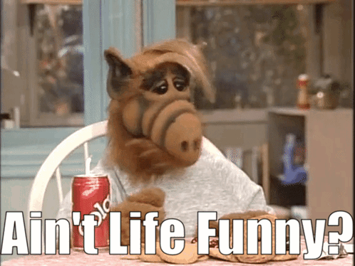 A Stuffed Animal Sitting At A Table With A Can Of Soda And The Words Ain T Life Funny GIF