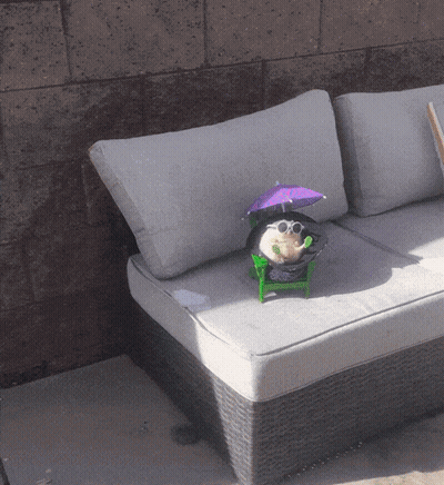 A Stuffed Animal Sitting On A Couch With A Purple Umbrella GIF