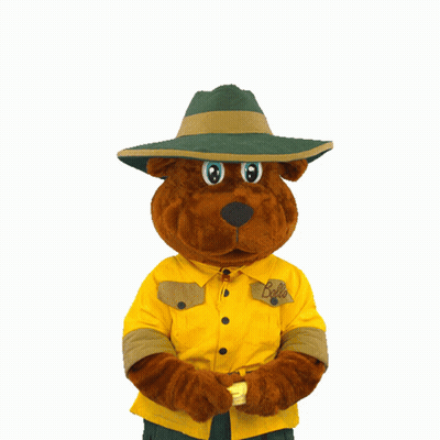 A Stuffed Animal Wearing A Green Hat And A Yellow Shirt That Says Bello On It GIF