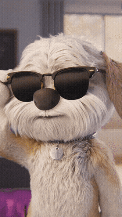 A Stuffed Animal Wearing Sunglasses Has A Tag On It GIF