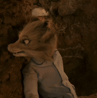 A Stuffed Animal With A Blue Shirt On Is Sitting In A Cave GIF