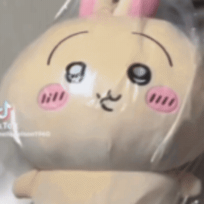 A Stuffed Animal With A Bunny Face And Pink Cheeks Is Sitting In A Plastic Bag . GIF