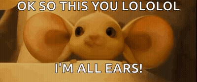 A Stuffed Animal With Big Ears Says Ok So This You Lololol I 'M All Ears GIF
