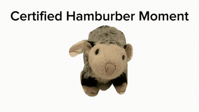 a stuffed animal with the words certified hamburger moment