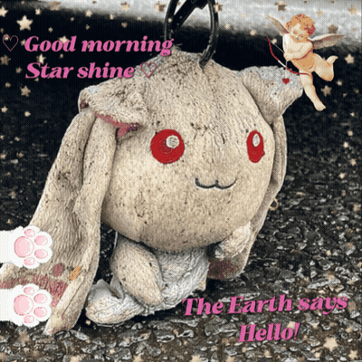 a stuffed animal with the words good morning star shine on it