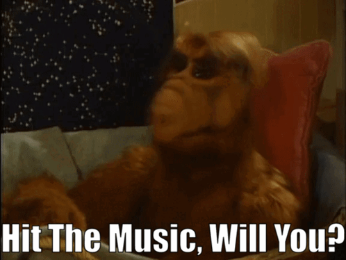 A Stuffed Animal With The Words Hit The Music Will You GIF