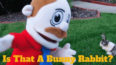 A Stuffed Animal With The Words Is That A Bunny Rabbit On The Bottom GIF