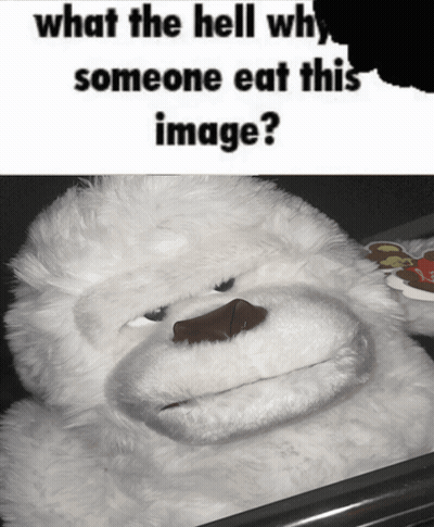 A Stuffed Animal With The Words What The Hell Why Someone Eat This Image Written Above It GIF