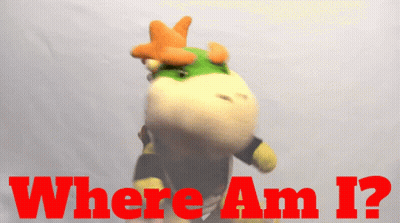 A Stuffed Animal With The Words " Where Am I " Written On It GIF