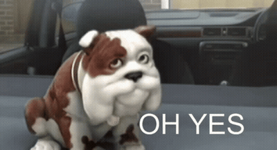 A Stuffed Bulldog Is Sitting In The Back Seat Of A Car With The Words Oh Yes Behind It GIF