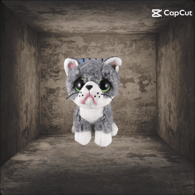 A Stuffed Cat With Green Eyes Is Sitting In A Dark Room With Capcut Written On The Bottom GIF