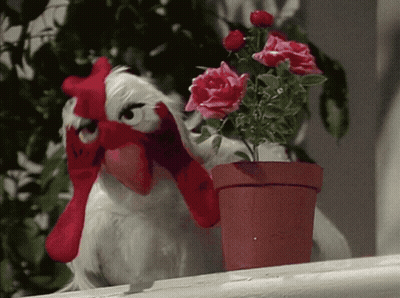 A Stuffed Chicken Holding A Red Heart Next To A Potted Plant GIF