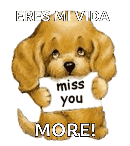 A Stuffed Dog Holding A Sign That Says Miss You More GIF