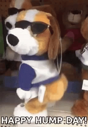A Stuffed Dog Wearing Sunglasses And A Blue Shirt Is Standing In A Store . GIF