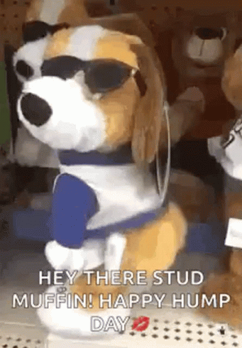 A Stuffed Dog Wearing Sunglasses And A Blue Shirt Is Standing In Front Of A Bunch Of Stuffed Animals . GIF