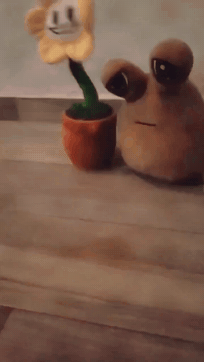 A Stuffed Flower And A Stuffed Snail Are On A Wooden Floor GIF