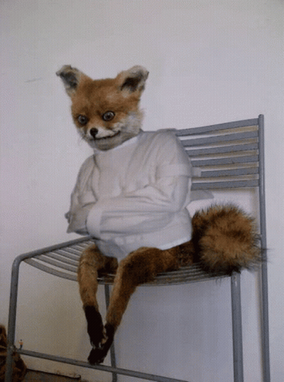 A Stuffed Fox Is Sitting On A Chair Wearing A Strait Jacket GIF