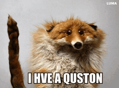 A Stuffed Fox Says I Have A Quston In A Luma Ad GIF