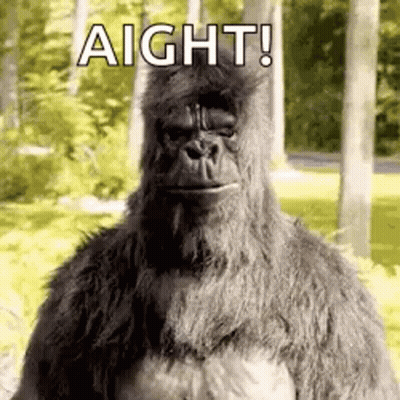 A Stuffed Gorilla Is Standing In The Woods With The Words `` Aight ! '' Written On It . GIF