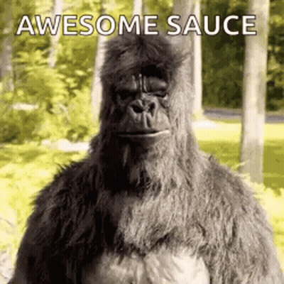 A Stuffed Gorilla Is Standing In The Woods With The Words `` Awesome Sauce '' Written On The Bottom . GIF