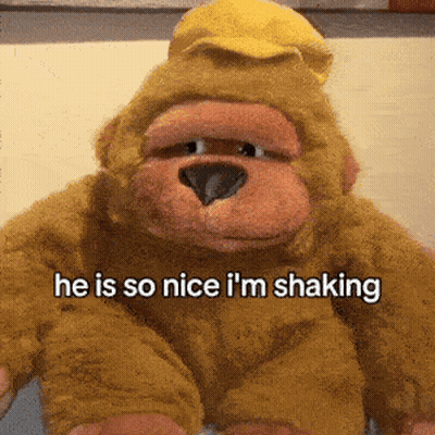 A Stuffed Gorilla With The Words He Is So Nice I 'M Shaking GIF