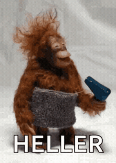 A Stuffed Monkey Is Holding A Hair Dryer And The Word Heller Is Above It . GIF
