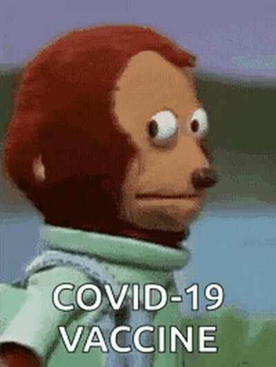 A Stuffed Monkey Is Wearing A Green Shirt And A Scarf And Says `` Covid-19 Vaccine '' . GIF