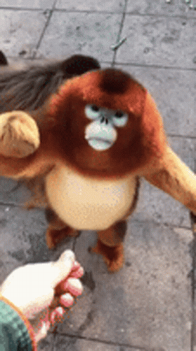 A Stuffed Monkey With Blue Eyes Is Being Held By A Person 'S Hand . GIF