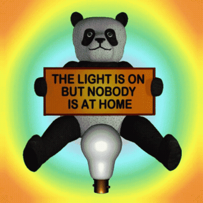 A Stuffed Panda Bear Holding A Sign That Says The Light Is On But Nobody Is At Home GIF