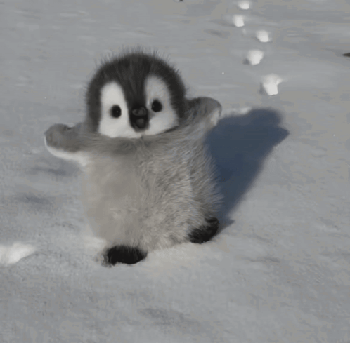 A Stuffed Penguin Is Laying On Its Back In The Snow GIF