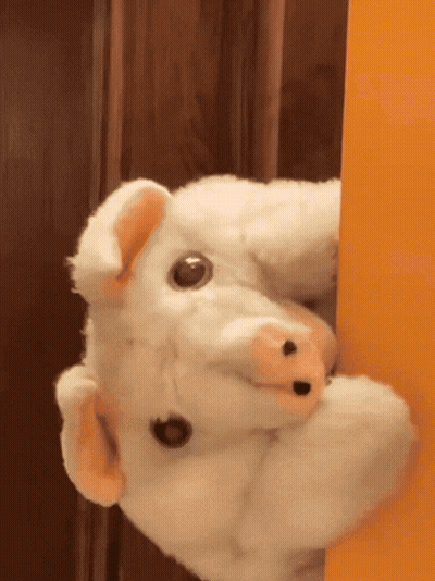 A Stuffed Pig Is Peeking Over A Door GIF