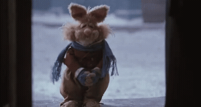 A Stuffed Rabbit Wearing A Scarf And Gloves Is Standing In Front Of A Window . GIF
