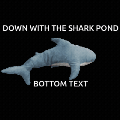 A Stuffed Shark With A Caption That Says Down With The Shark Pond Bottom Text GIF